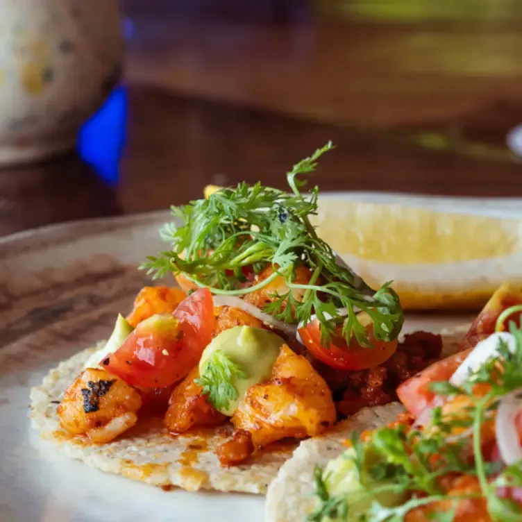 Pacifico Beach Club Punta Mita