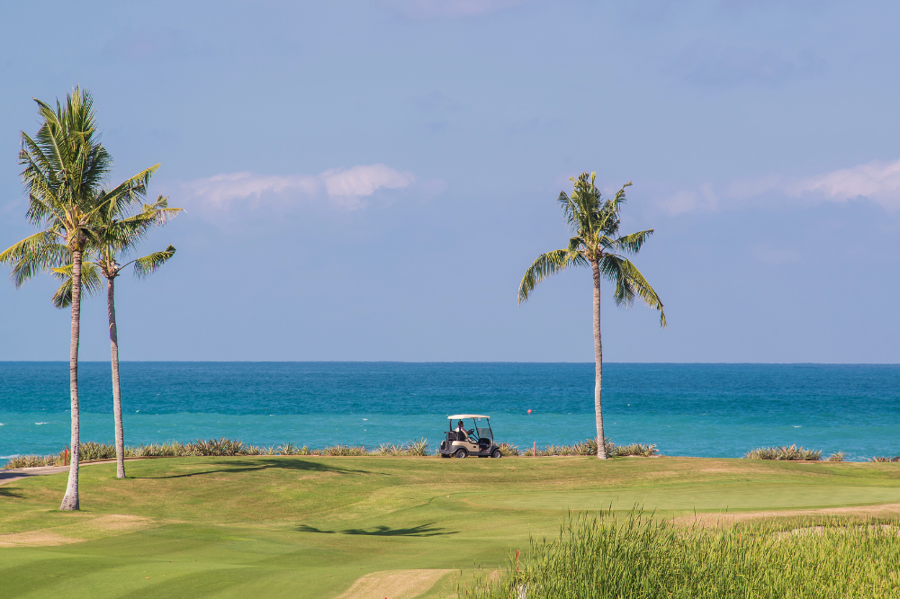 Lush jungle and ocean views from the terrace of Casa Dali, showcasing the biophilic design and serene environment of a luxury wellness villa.